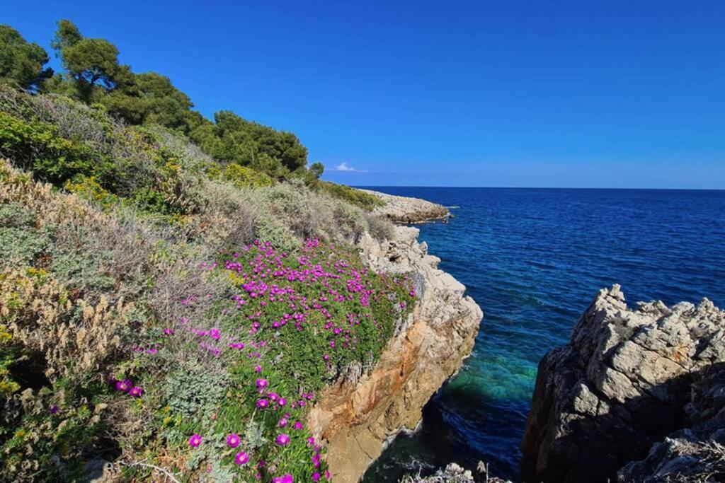 Casalionelantibes 70 Sqm Apartment With Garden And Parking Dış mekan fotoğraf