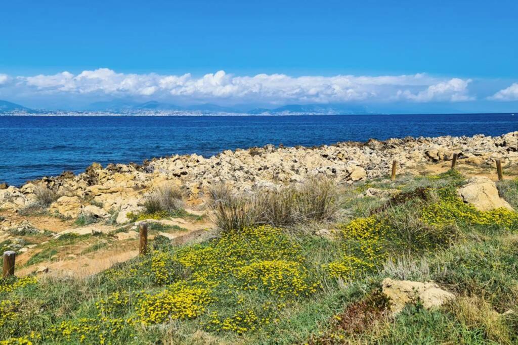Casalionelantibes 70 Sqm Apartment With Garden And Parking Dış mekan fotoğraf